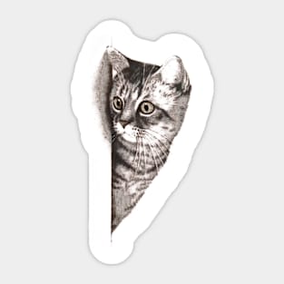 Cat Sticker